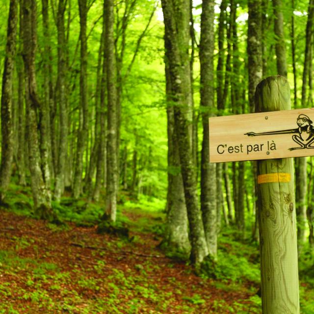 9 - Ot Pyrenees Cathars