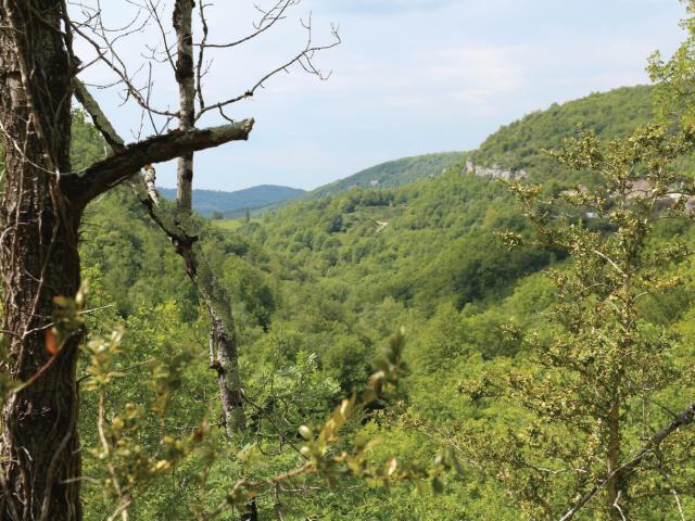 Gorges De Péreille (6)