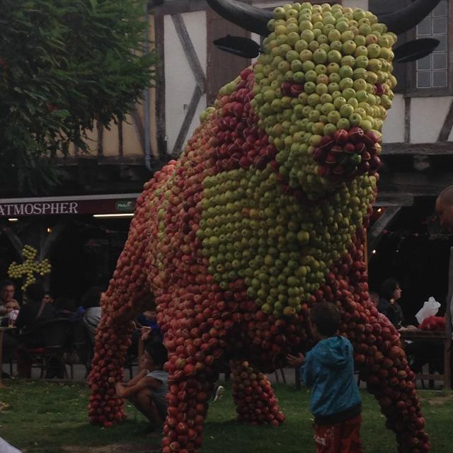 Fiesta de la Manzana Veronique Racaud2