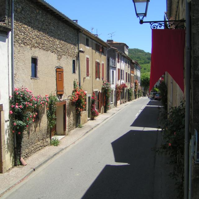 MINOLTA DIGITAL CAMERA