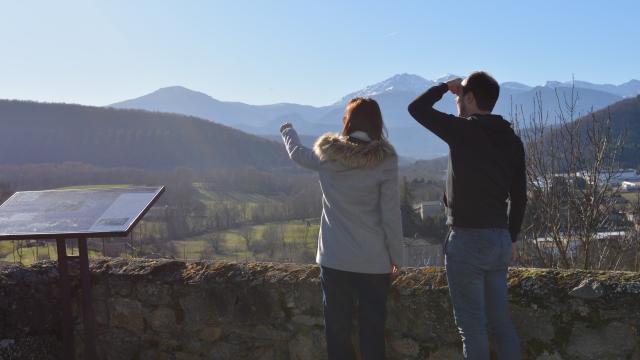 El punto de vista de Castella