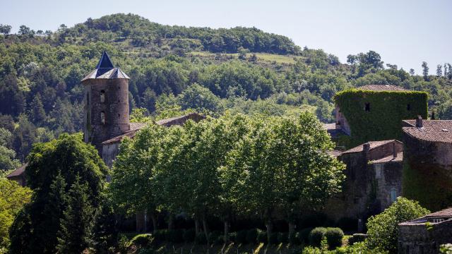 ADT09_0005762_MD (1)