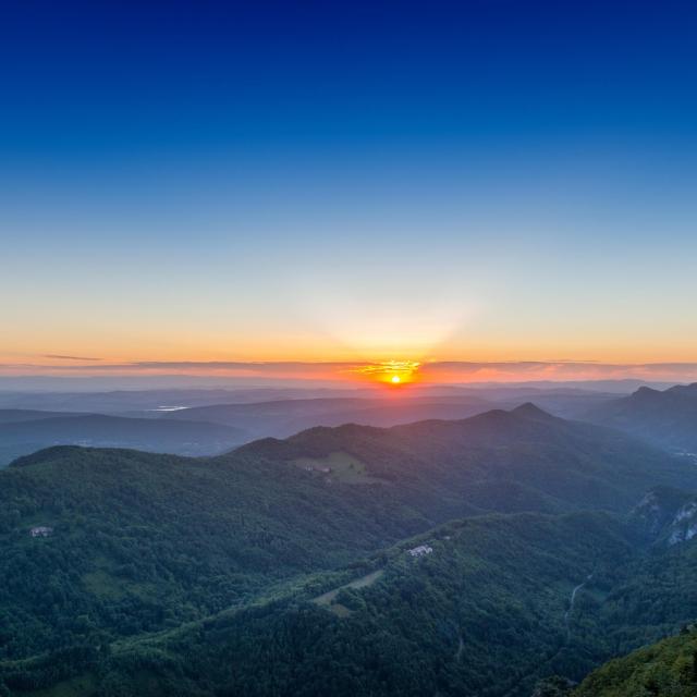 ADT09_0006724_MD (1)