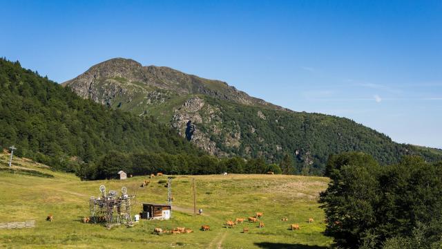 Charles_Ripon_ADT09_0009143_MD