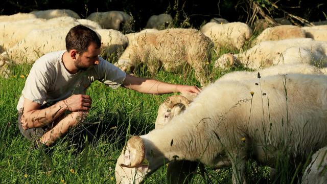 Un producteur des Pyrénées cathares
