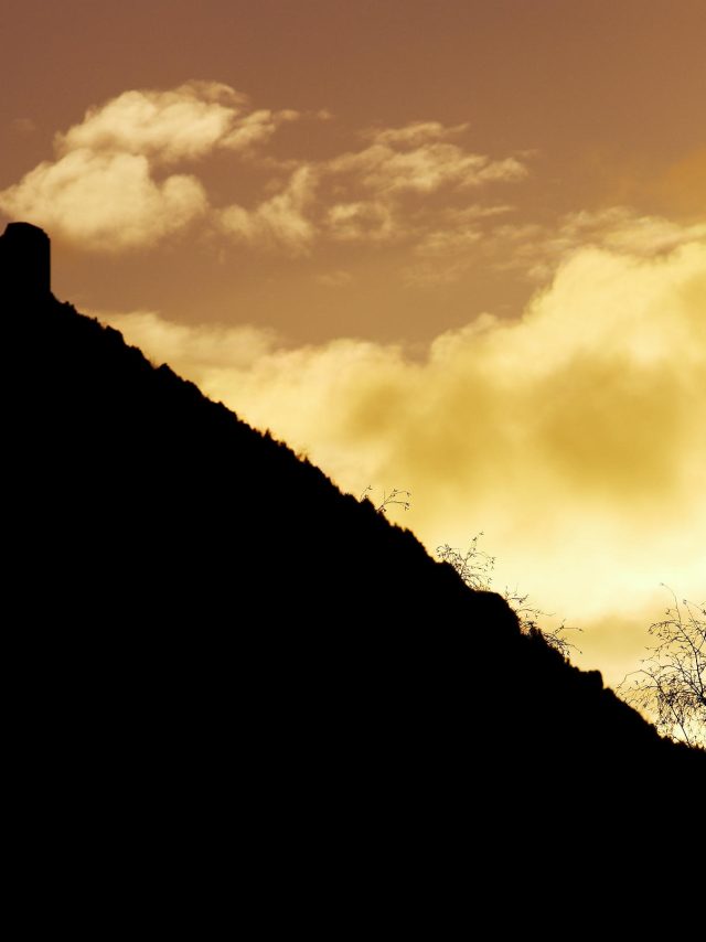 Dominique_VIET_ADT09_0001782_MD