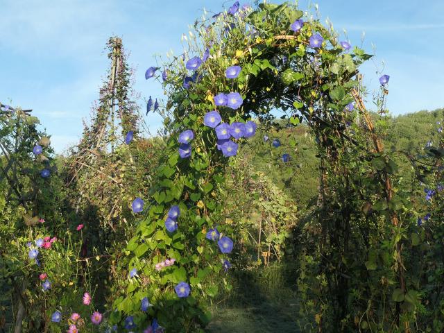 extraordinary garden