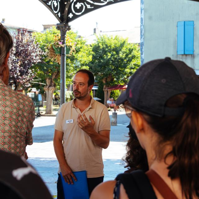 Visite guidée de Mirepoix