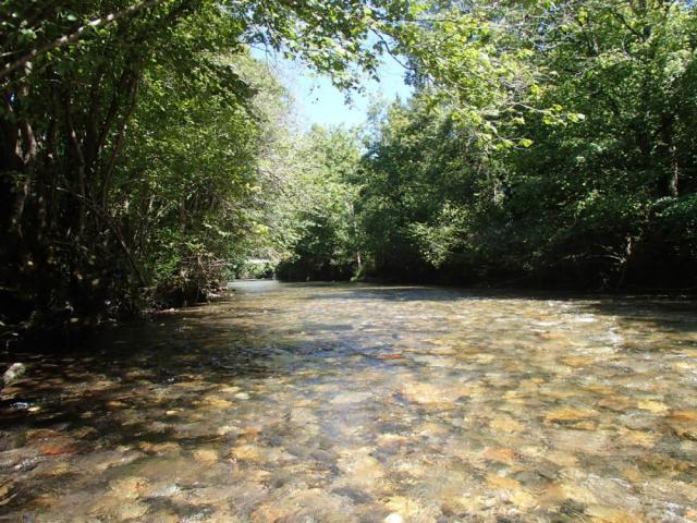 Fly fishing Hers Vif Ariege 04 1000x750 1