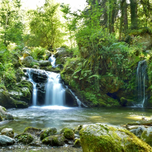 Roquefort les Cascades